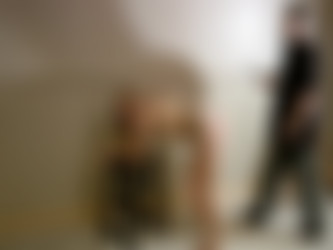 paintoy.com/stevie2.wmv