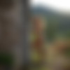 2022phdee/2021-11/[photodromm] 2021-11-04 Goldie - Sunset Electricity (x46, 3000 px)