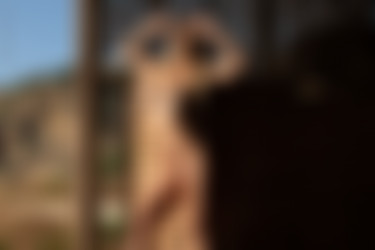 2022phdee/2021-11/[photodromm] 2021-11-06 Brenda - The Outpost (x46, 3000 px)/The Outpost (36).jpeg