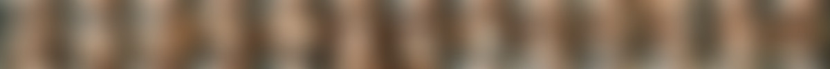 [BlackedRaw.com] Riley Star - Adventures of Jay and Slay [1080p, x265].mp4 screencaps